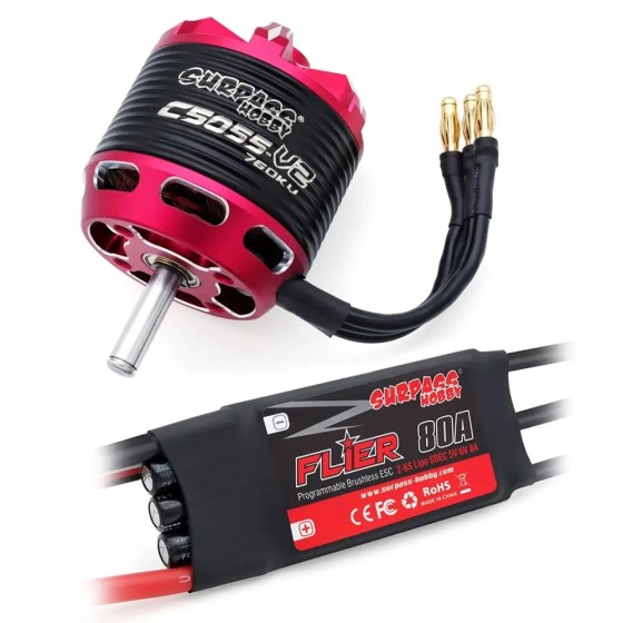 Surpass Hobby C5045 C5055 C5065 V2 Motor Outrunner sin escobillas 2-6S con 60A 80A 100A ESC sin escobillas para avión RC Multicopte